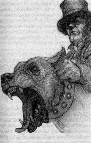 Питер Пэн и Похитители теней - pic06.jpg