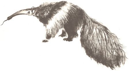 Занимательная зоология - doc2fb_image_0200001C.jpg