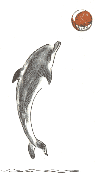 Занимательная зоология - doc2fb_image_0300006F.png