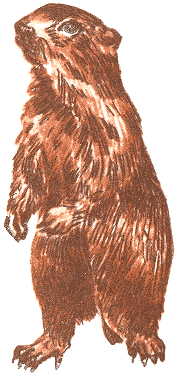 Занимательная зоология - doc2fb_image_03000077.png