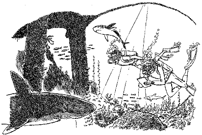 Книга исследователя. Полезные советы юным путешественникам - pic_18.png