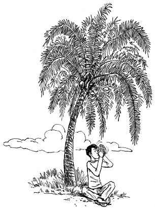 Книга исследователя. Полезные советы юным путешественникам - pic_29.png