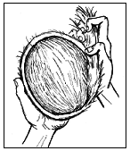 Книга исследователя. Полезные советы юным путешественникам - pic_30.png