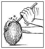 Книга исследователя. Полезные советы юным путешественникам - pic_34.png