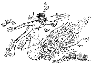 Книга исследователя. Полезные советы юным путешественникам - pic_44.png