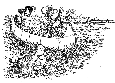 Книга исследователя. Полезные советы юным путешественникам - pic_78.png