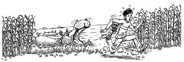 Книга исследователя. Полезные советы юным путешественникам - pic_79.png