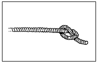 Книга исследователя. Полезные советы юным путешественникам - pic_91.png