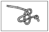 Книга исследователя. Полезные советы юным путешественникам - pic_93.png