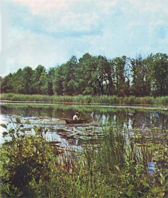 Природа донского края - i_074.jpg