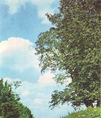 Природа донского края - i_080.jpg