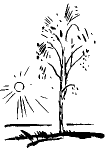 Товарищ Богдан (сборник) - i_022.png