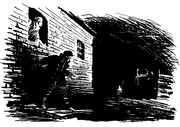 Товарищ Богдан (сборник) - i_039.png