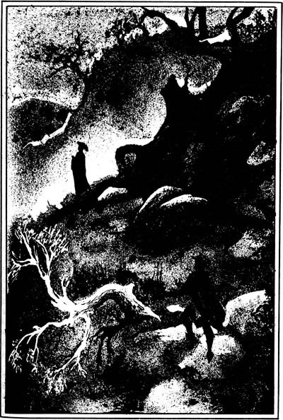 Тысяча и один призрак (Сборник повестей и новелл) - i_010.jpg