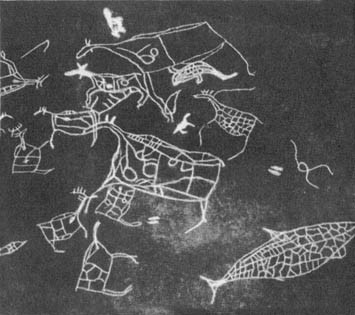 Кит - doc2fb_image_0200000D.jpg