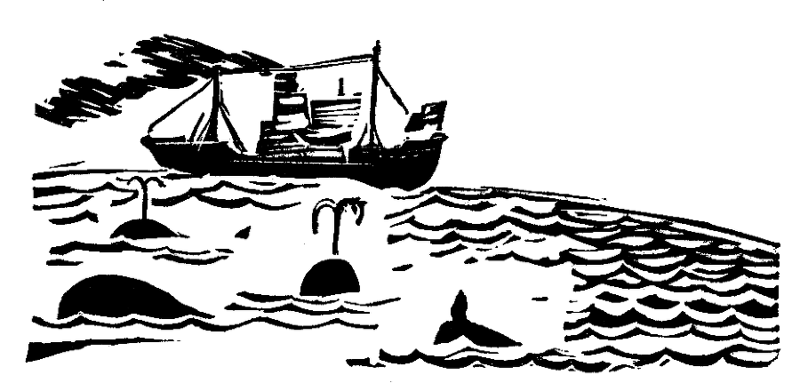 Кит - doc2fb_image_03000005.png