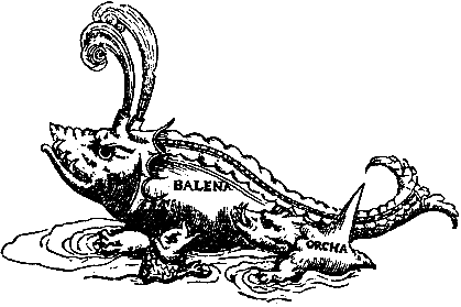 Кит - doc2fb_image_03000008.png