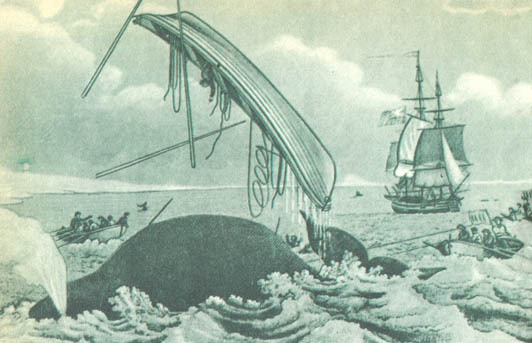 Кит - doc2fb_image_0200005D.jpg