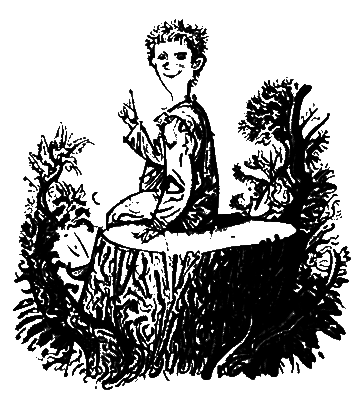 Лісом, небом, водою. Книга 2. Леля - i_016.png