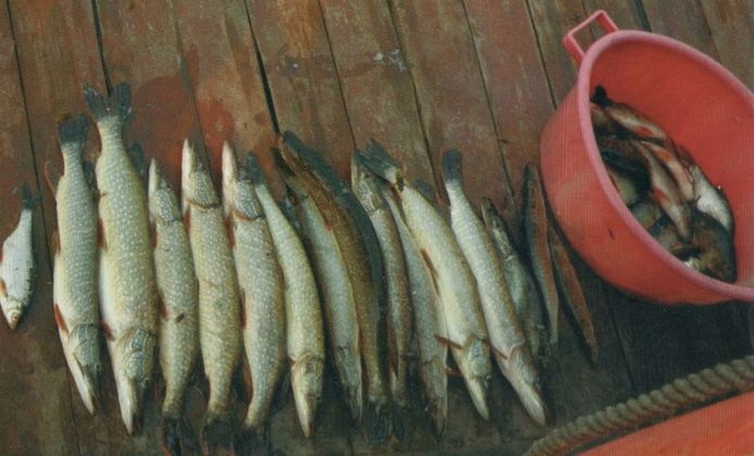 Сияние Вышних Богов и крамешники - f47.jpg