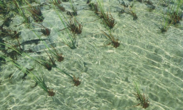 Сияние Вышних Богов и крамешники - f53.jpg