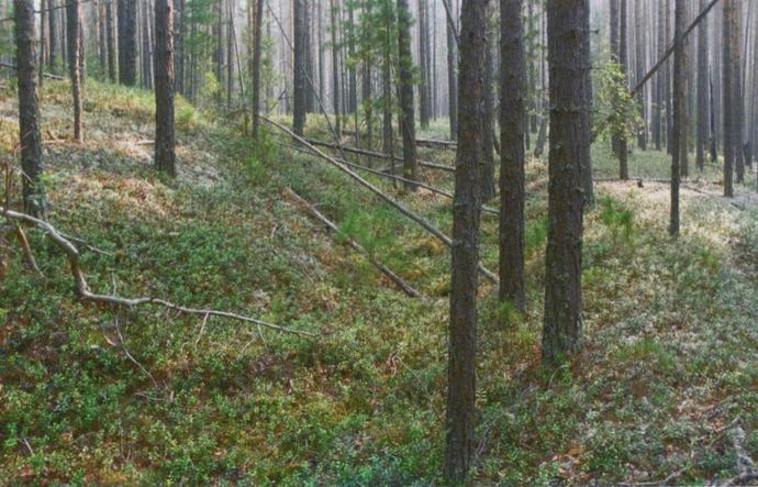 Сияние Вышних Богов и крамешники - f57.jpg