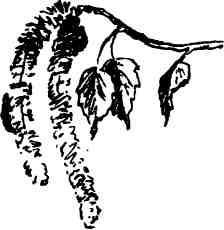 Тропою исканий - img_5.jpeg