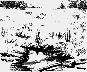 Великие открытия - any2fbimgloader2.png