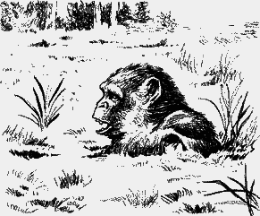 Великие открытия - any2fbimgloader3.png