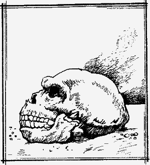 Великие открытия - any2fbimgloader28.png