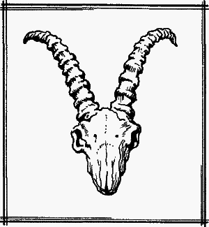 Великие открытия - any2fbimgloader55.png