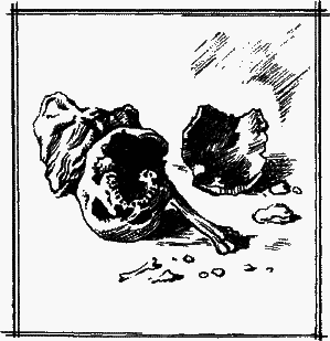 Великие открытия - any2fbimgloader57.png