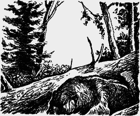 Великие открытия - any2fbimgloader71.png