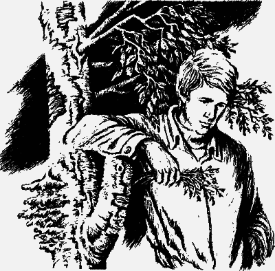 Лазоревый петух моего детства (сборник) - i_010.png