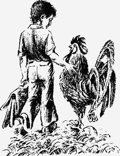 Лазоревый петух моего детства (сборник) - i_012.png