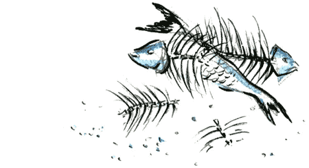 Рябиновое солнце - img32.png