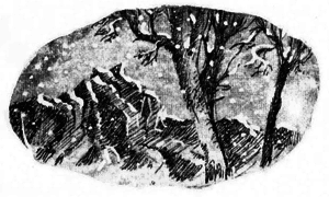 Дети Ноя - i_004.png