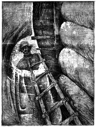 Дети Ноя - i_014.png