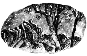 Дети Ноя - i_042.png