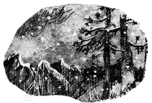 Дети Ноя - i_048.png