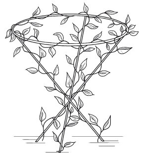Балконы, лоджии, террасы, беседки, гаражи, навесы - _225.jpg