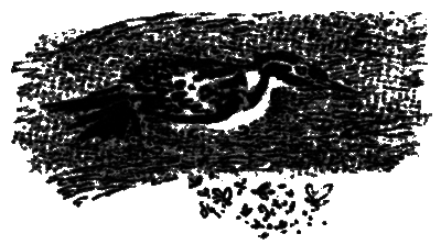 Рассказы и сказки - i_013.png