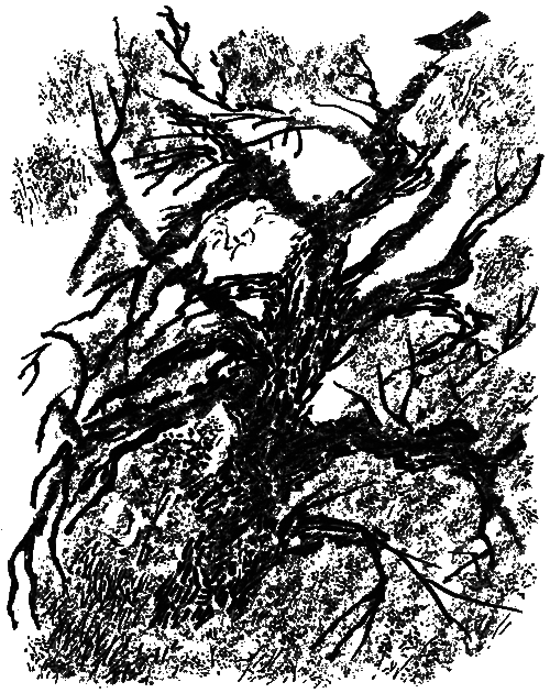 Рассказы и сказки - i_019.png