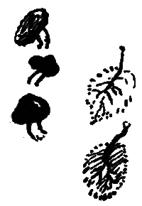 Рассказы и сказки - i_020.png