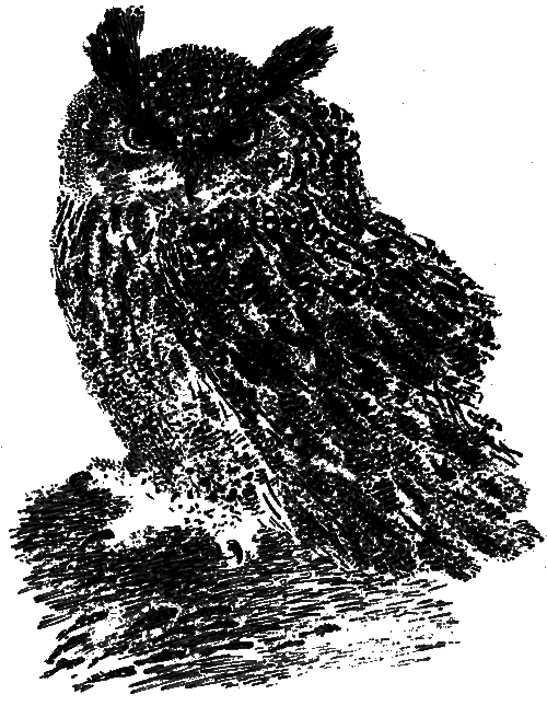 Рассказы и сказки - i_021.png