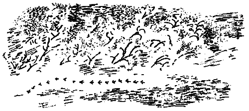 Рассказы и сказки - i_136.png