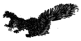 Рассказы и сказки - i_140.png