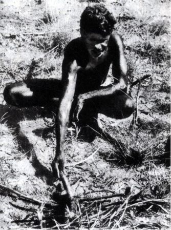 Австралия и острова Тихого океана - _114.jpg