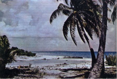 Австралия и острова Тихого океана - _151.jpg