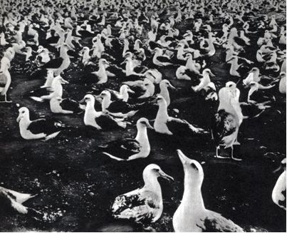 Австралия и острова Тихого океана - _154.jpg